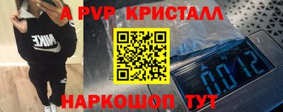 индика Кингисепп