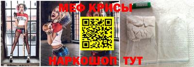 индика Кингисепп