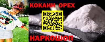 индика Кингисепп