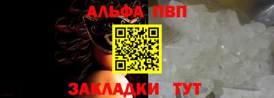 индика Кингисепп