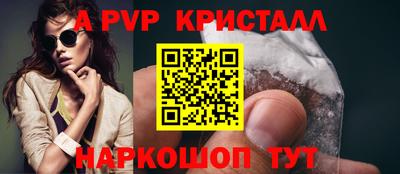 индика Кингисепп