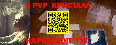 индика Кингисепп
