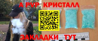 индика Кингисепп