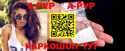 индика Кингисепп