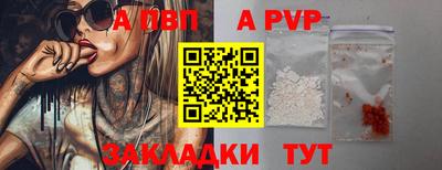 индика Кингисепп