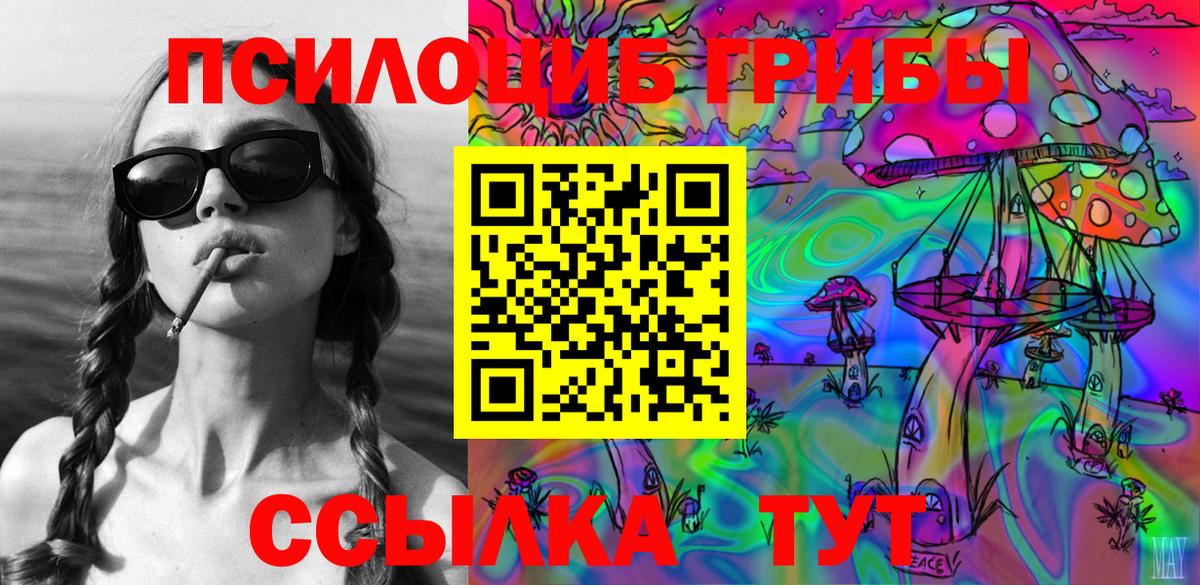 Галлюциногенные грибы Psilocybe  Галлюциногенные грибы Cubensis  Канаш  Вход с VPN 
