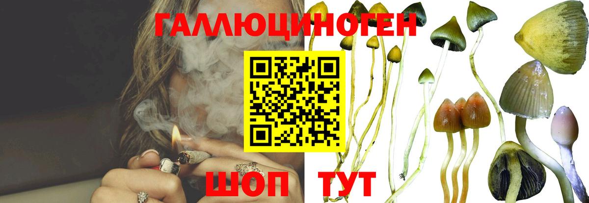 Псилоцибиновые грибы мухоморы Канаш